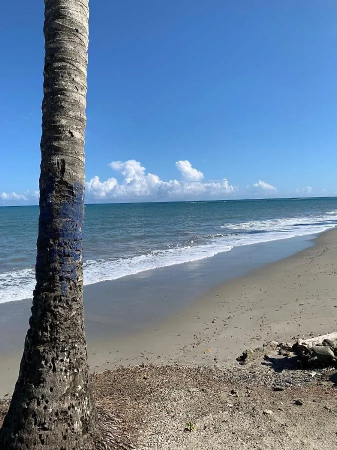 Apartamentos La Ermita Provincia Espaillat Gaspar Hernandez Rio San Juan Frente A Playa La Ermita Puerto Plata