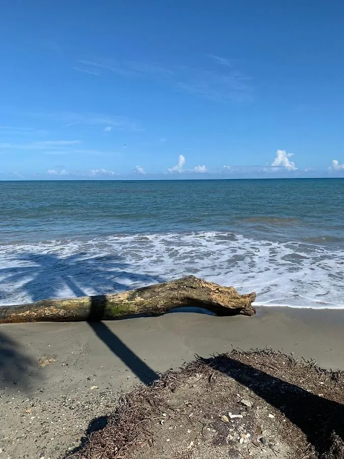 Apartamentos La Ermita Provincia Espaillat Gaspar Hernandez Rio San Juan Frente A Playa La Ermita Puerto Plata
